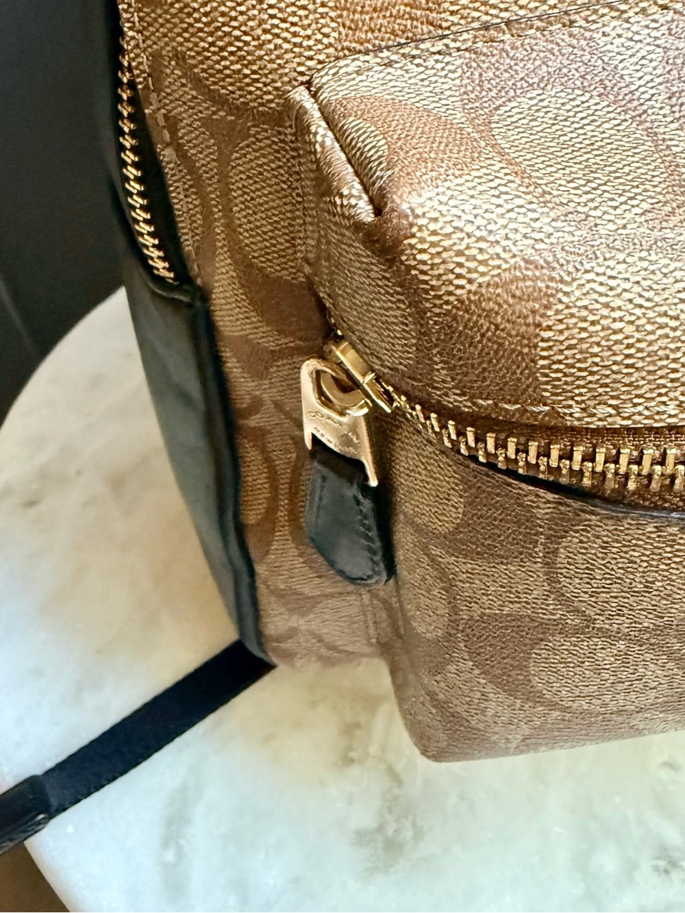 Coach Signature Medium Charlie
Backpack | Khaki/Brown | Customized
Gold Hangtag - Picture 3 of 16